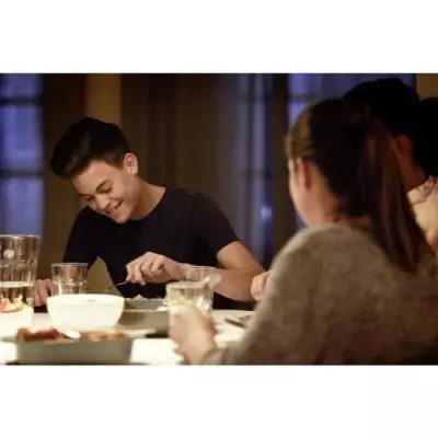 Ampoule LED PHILIPS E27 75W Blanc Chaud - Non dimmable