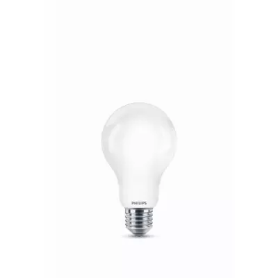 Ampoule LED Philips 120W E27 Blanc froid - Non Dimmable