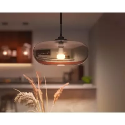 Ampoule connectée Philips Hue White Ambiance E27 75W - Lumière intelligente