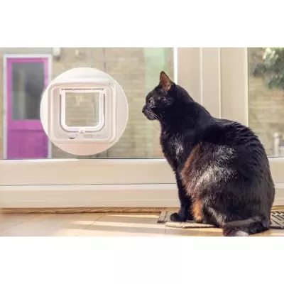 Chatière connectée SureFlap: Porte pour chat avec puce électronique