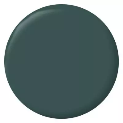 Peinture Ripolin Velours Vert Armerie - Pour Murs, Boiseries et Radiateurs