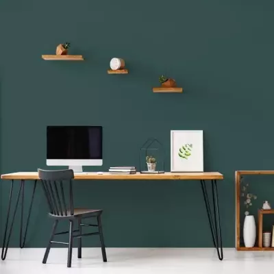 Peinture Ripolin Velours Vert Armerie - Pour Murs, Boiseries et Radiateurs