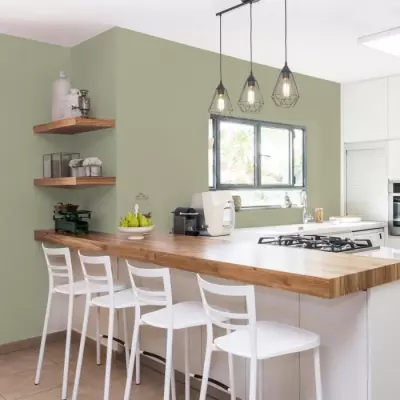 Peinture cuisine et salle de bain - Vert gaspésie satin - RIPOLIN - 2 L - Idéal pour une décoration lumineuse ?