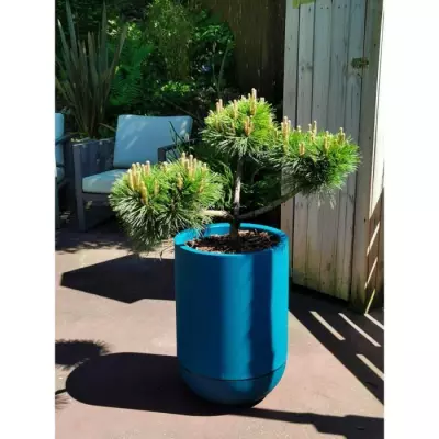 Bac à fleurs rond Riviera Granit Tulipe - Diamètre 40 cm - Bleu