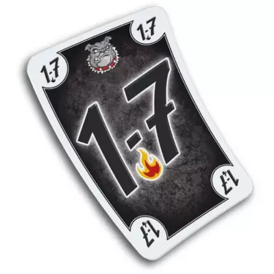 Jeu de Société Black DOG: Affrontez le mystérieux Black DOG !