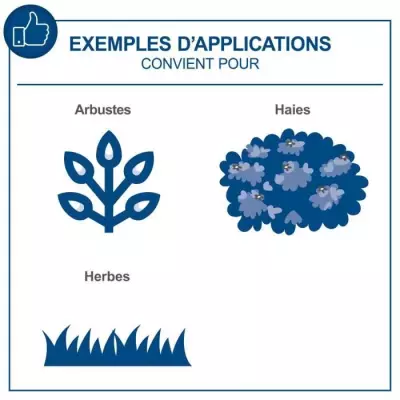 Coupes-bordures/taille-haies sans fil SCHEPPACH 20V IXES - lame acier trempé