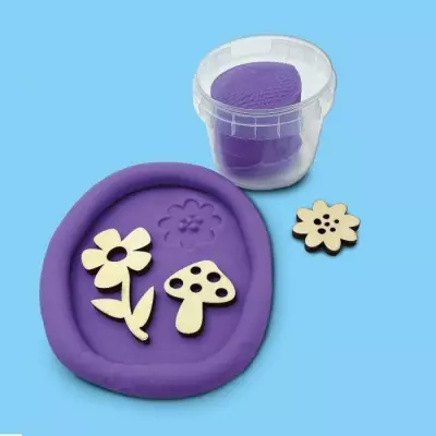Kit créatif pour enfants - Moul. et peinture en relief botanique - SES CREATIVE