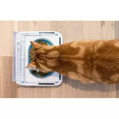 Distributeur automatique anti-odeur pour chat - Blanc
