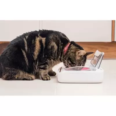 Distributeur automatique anti-odeur pour chat - Blanc