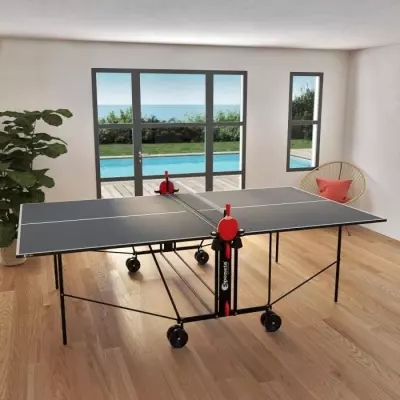 Table de tennis de table compacte SPONETA - Gris et noir