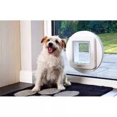 Chatière à puce électronique SUREFLAP Grande - Blanc - 178 mm x 170 mm