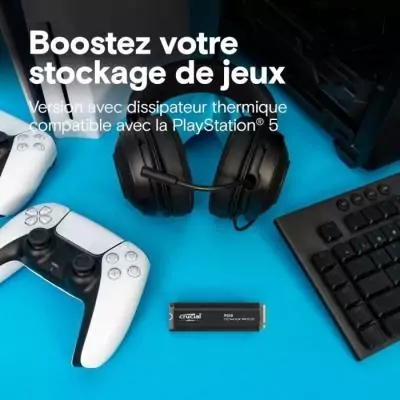 CRUCIAL - P310 - Disque SSD Interne - 2TB - Gen4 - NVMe M.2 - Jusqu'a 7100 Mo/s