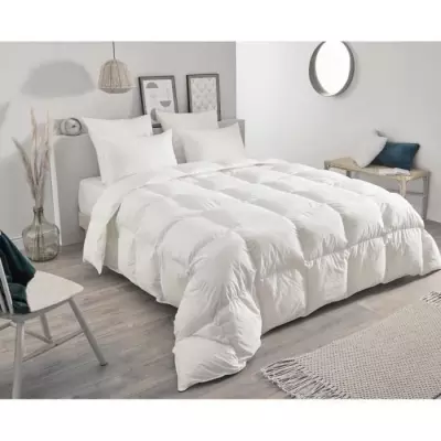 Couette Toison d'Or Daisy chaude 220x240cm - Plumette et duvet