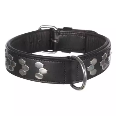 Collier stylé en cuir noir pour chien - Taille L - 45-55 cm
