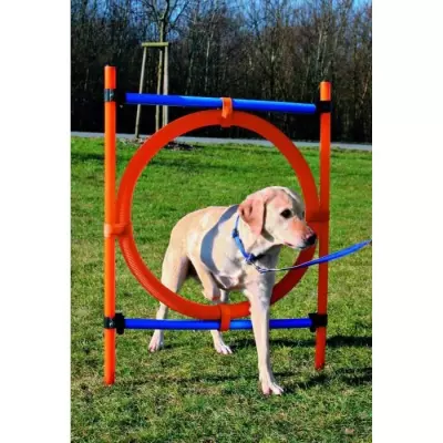 Cerceau d'agilité pour chiens 115cm: entraînement facile