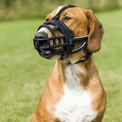 Museliere TRIXIE Muzzle Flex Caoutchouc Taille M/L - Noir