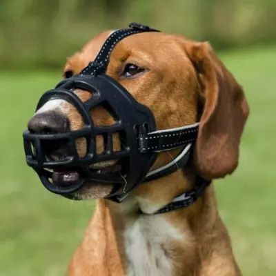 Muselière TRIXIE - Muzzle Flex XL/XXL Noir