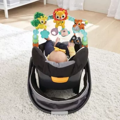 Découvrez l'Arche d'Eveil Musicale VTECH BABY pour les Baby Loulous