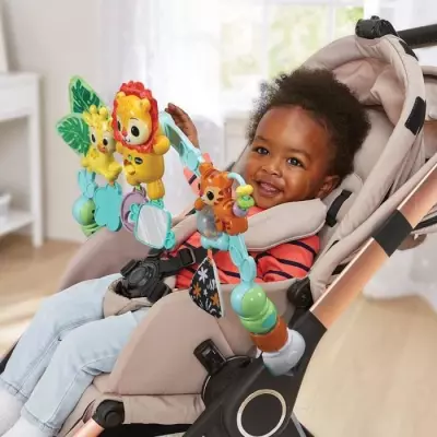 Découvrez l'Arche d'Eveil Musicale VTECH BABY pour les Baby Loulous