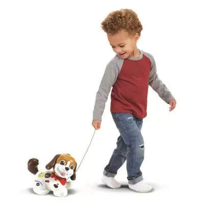 Peluche interactive VTECH-TOUTOU, 1,2,3 PROMENE-MOI