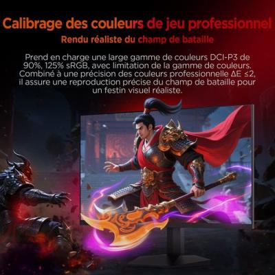 Ecran PC Gamer - HKC - 24 - FHD - 240Hz - Dalle Fast IPS - 1ms - G24H3D