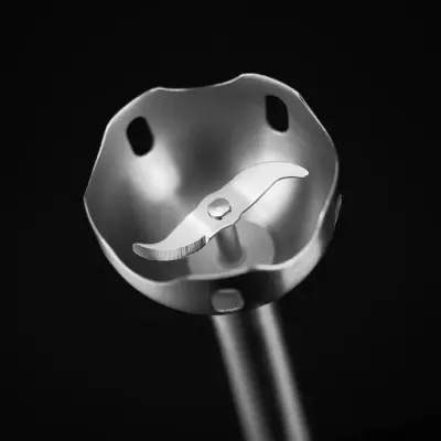 Mixeur Plongeant RUSSELL HOBBS Desire - Pratique et Performant!