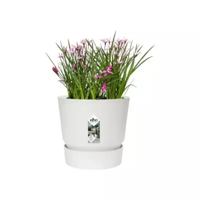 Pot de fleurs rond Greenville 25 - Blanc - Extérieur - Ø 24,48 x H 23,31 cm Pot de fleurs rond Greenville 25 - Blanc - Extérieur - Ø 24,48 x H 23,31 cm