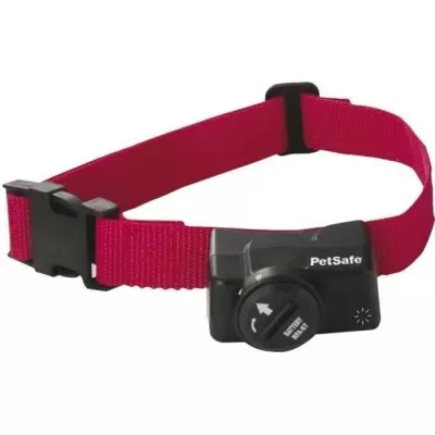 Collier récepteur sans fil pour animaux de compagnie - Compact et efficace