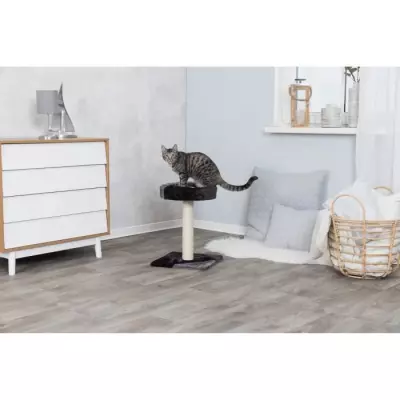 Arbre à chat TRIXIE Tarifa Junior - 52 cm - Gris et noir