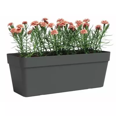 Jardinière Rectangulaire Anthracite - L49,9 x P20 x H18,1cm
