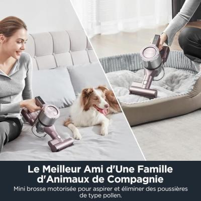 Aspirateur Balai Pliable EUREKA AK10 Pro - 29 000 Pa
