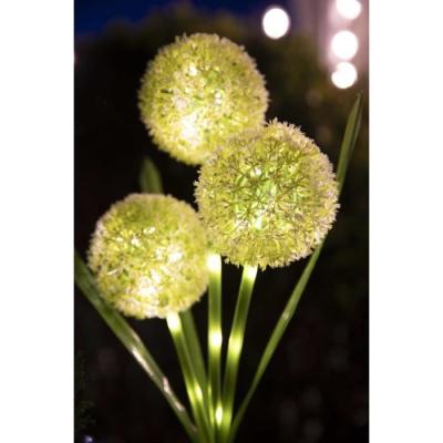 Décoration lumineuse solaire: Fleurs éclatantes - GALIX G4510