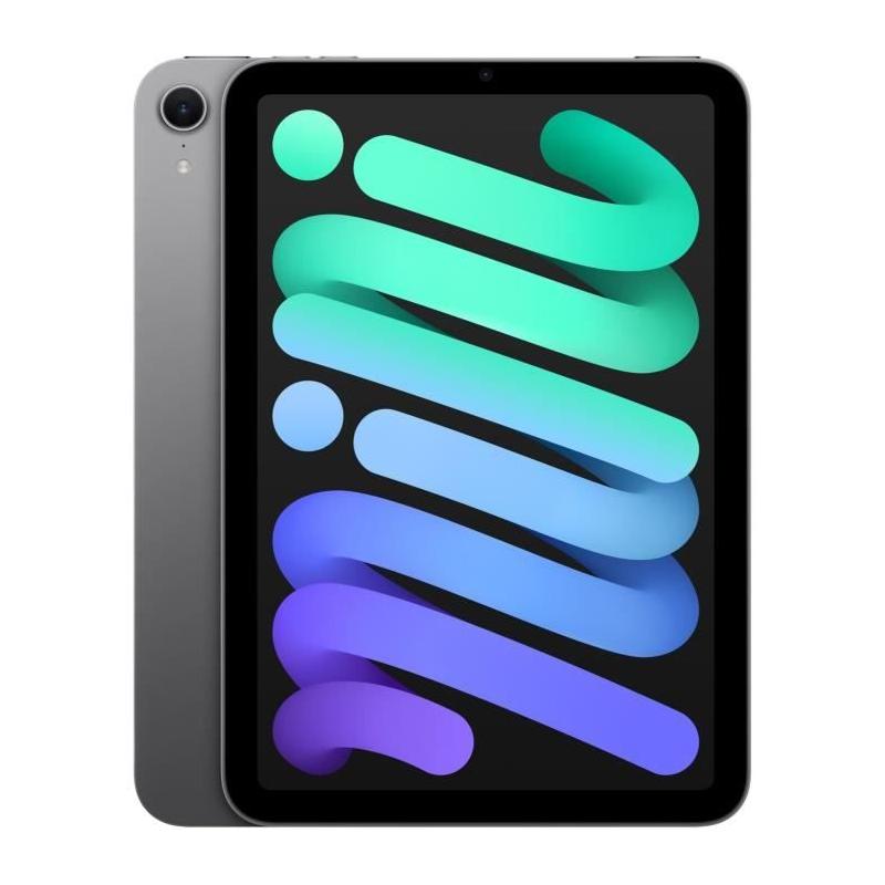 iPad mini (2024) - 8.3'' WiFi 512 Go - Gris sidéral