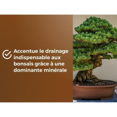 Terreau Bonsais - Enracinement optimal - 6L