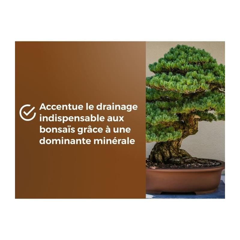 Terreau Bonsais - Enracinement optimal - 6L