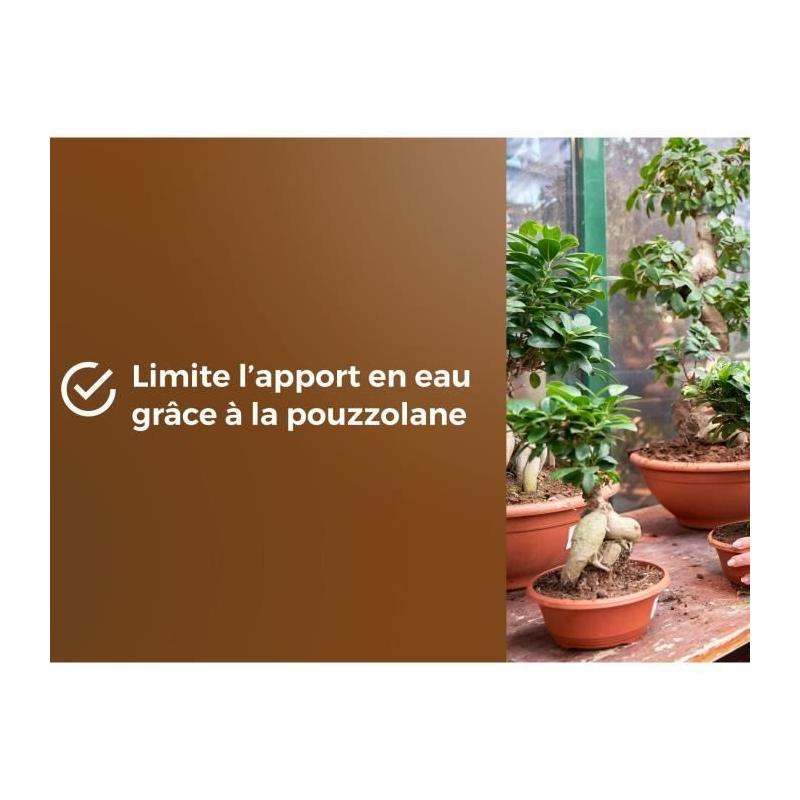 Terreau Bonsais - Enracinement optimal - 6L