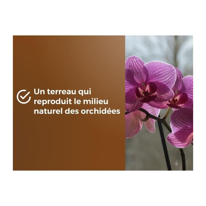 Terreau orchidées OR BRUN - Favorise croissance 6L
