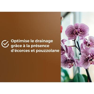 Terreau orchidées OR BRUN - Favorise croissance 6L