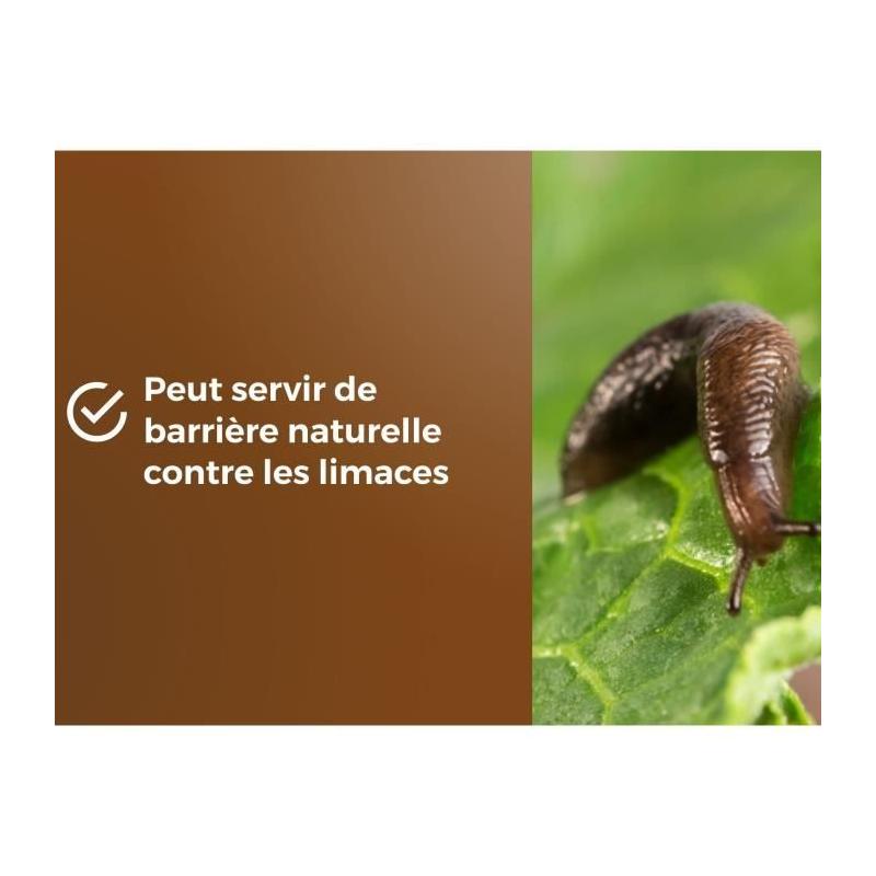 Paillage de Pouzzolane 6L - Protection Plantes