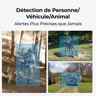 Caméra extérieure REOLINK G450 avec panneau solaire - Gris