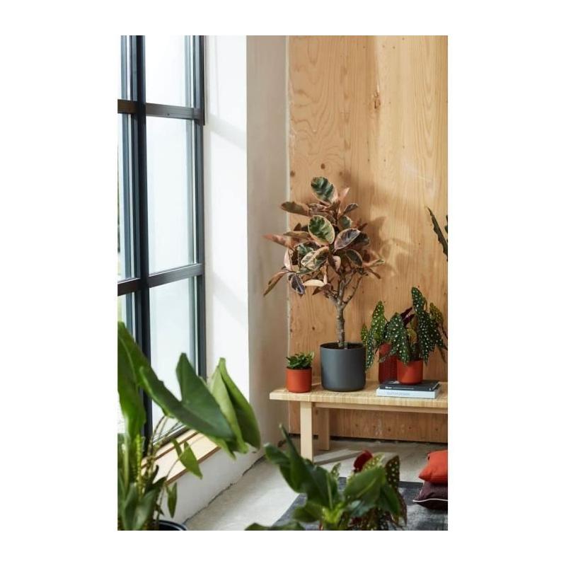Jardinière ronde en plastique ELHO b.for soft - Ø30 - Anthracite