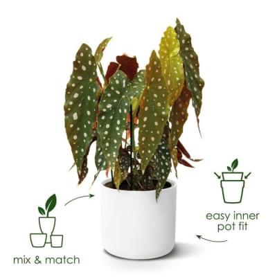 Jardinière ronde ELHO B.for Soft - Noir recyclé Ø35xH32cm