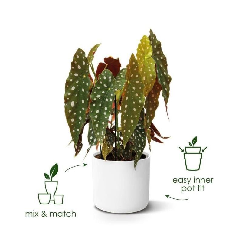 Jardinière ronde ELHO B.for Soft - Noir recyclé Ø35xH32cm