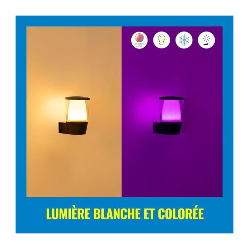 Applique murale WIZ ELPAS - Connectée - Extérieur Noir - Dimensions compactes