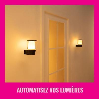 Applique murale WIZ ELPAS - Connectée - Extérieur Noir - Dimensions compactes