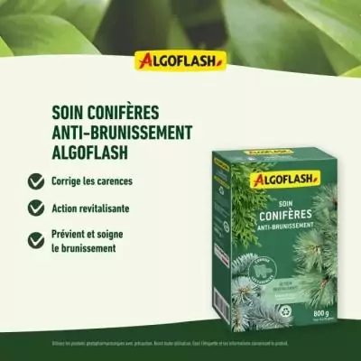 Engrais anti-brunissement pour conifères - ALGOFLASH NATURASOL - 800g