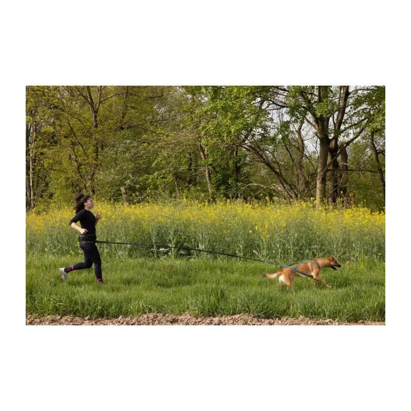 Longe de traction pour chien - INTENSIA - 1.9 m - Double poignée