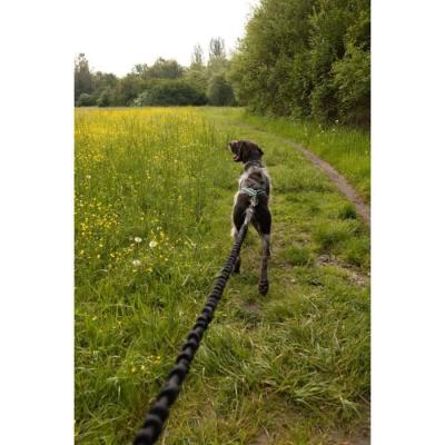 Longe de traction pour chien INTENSIA XL - Noir - 2.4 m