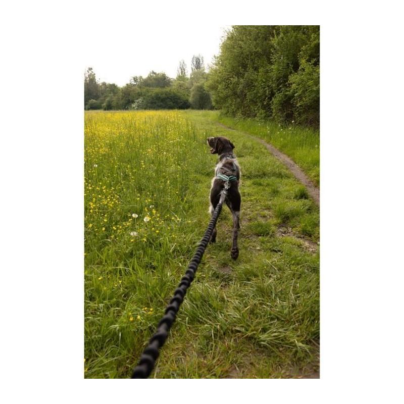 Longe de traction pour chien INTENSIA XL - Noir - 2.4 m