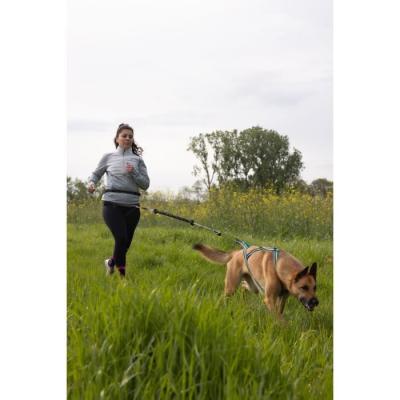 Longe de traction pour chien INTENSIA XL - Noir - 2.4 m